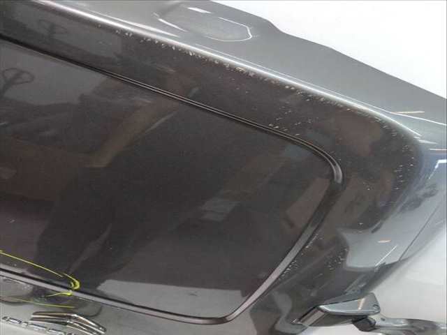 Foto 2ª: Puerta Trasera Derecha Citroen Jumpy 2.0 BLUEHDI 144CV 106KW III) [EHT DW10FDDU340] (2024)