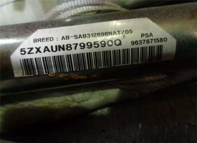Foto 1ª: Airbag Cortina Delantero Izquierdo Peugeot 307 1.6 HDI [9HX (DV6ATED4)]