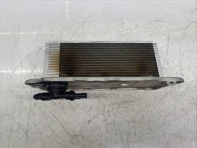 Foto 3ª: Intercooler Jeep Cherokee 272 CV 200KW [EC1] (2019)