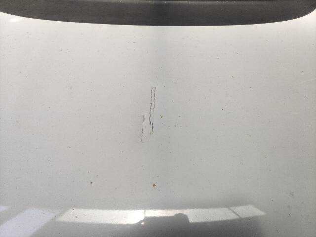 Foto 2ª: Capot Seat Leon 2.0 TFSI CUPRA [CDL] (2011)