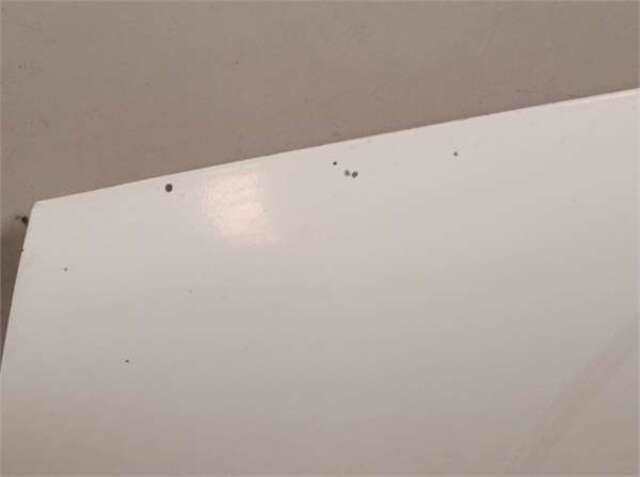 Foto 2ª: Capot Nissan Navara 2.5 DOUBLE CAB. 4X4 [YD25]
