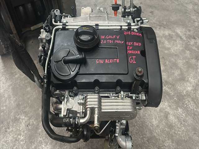 Motor Completo Volkswagen Golf 2.0 TDI V