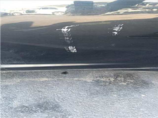 Foto 2ª: Puerta Trasera Izquierda Jaguar XF 2.2 D 190CV 140KW [224DT(DW12C)] (2011)