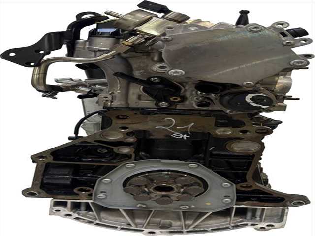 Foto 2ª: Motor Completo Volkswagen Tiguan 2.0 TSI 186 CV 137KW [DTEA] (2021)