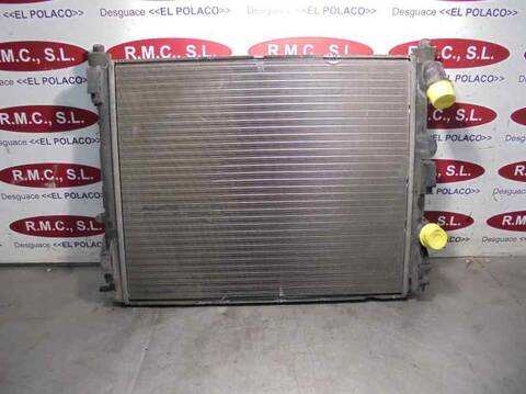 Foto 1ª: Radiador Motor Renault Clio AUTHENTIQUE 65CV 48KW [K9K A7] (2001)