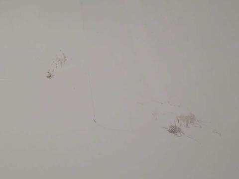 Foto 3ª: Puerta Delantera Derecha Mercedes Sprinter 419 CDI RWD 907.643 907.645 907.647) 190CV 140KW FURGONETA [654920] (2024)