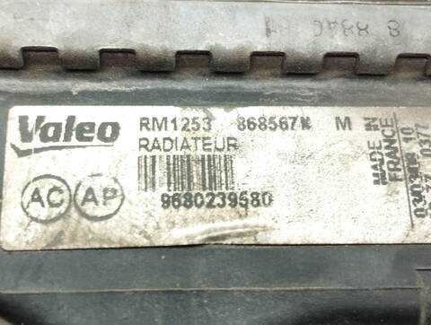 Foto 2ª: Radiador Motor Citroen C3 1.1 AUDACE 60CV 44KW [HFX] (2008)
