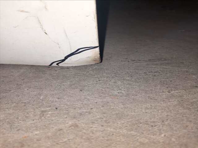 Foto 3ª: Puerta Delantera Izquierda Volkswagen Transporter FURGON 2459 CC 2.5 LTR) 102CV/75KW 0CV [ACV] (2002)