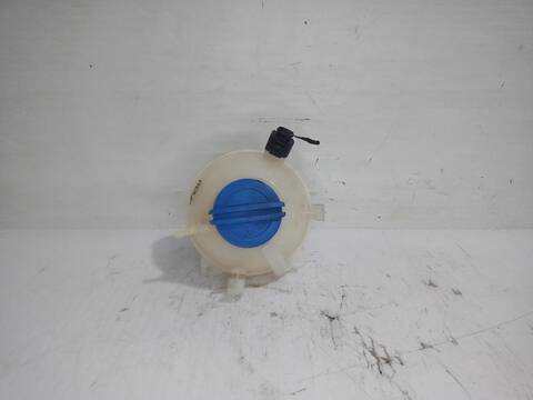 Deposito Expansion Volkswagen Passat ADVANCE BLUEMOTION 105CV