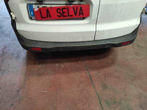 Paragolpes Trasero Ford Tourneo SFCF