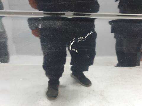 Foto 2ª: Puerta Lateral Corredera Derecha Volkswagen Caravelle T6 TRENDLINE (2015)