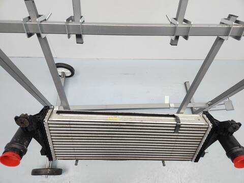 Foto 4ª: Intercooler Ford Ranger DOBLE CABINA WILDTRACK 4X4 4P) 213CV [YN2X] (2020)