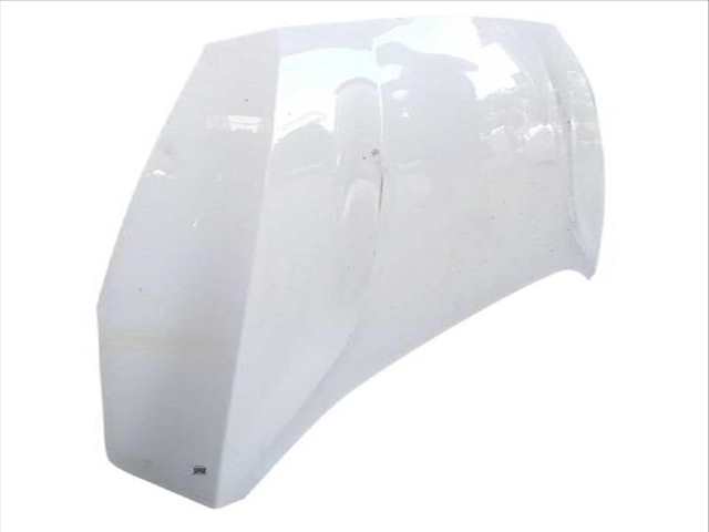 Foto 3ª: Capot Ford Focus 1.0 ECOBOOST (2018)