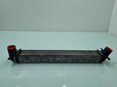 Foto 1ª: Intercooler Seat Ibiza STYLANCE - STYLE 105CV 77KW [BLS] (2008)