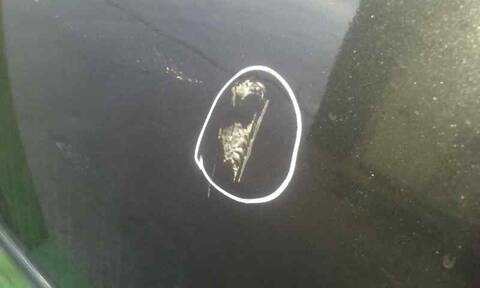 Foto 2ª: Puerta Trasera Izquierda Dodge Avenger SXT 140CV 103KW [BYL] (2008)