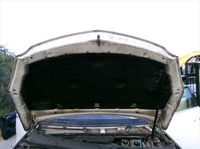 Foto 2ª: Capot Opel Insignia 2.0 CDTI 2008-2013 [A20DTH] (2011)
