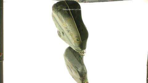 Foto 2ª: Deposito de Combustible Bmw X1 2.0 D 143 CV SDRIVE [N47 D20 C] (2009)