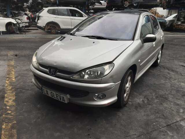 Mangueta Delantera Izquierda Peugeot 206 2.0 HDI90CV
