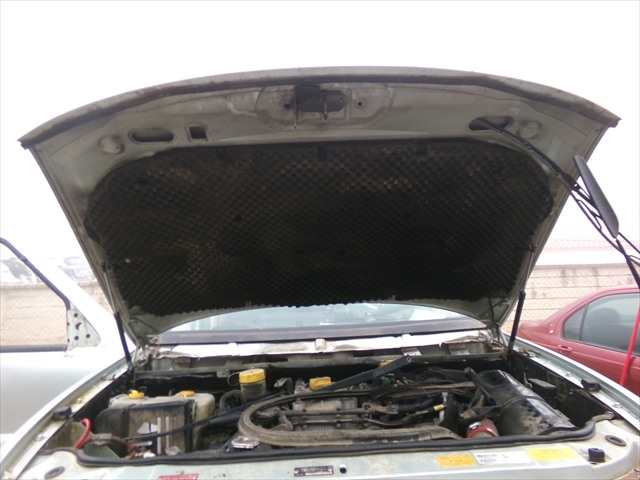 Foto 2ª: Capot Tata Gran Safari 3.0 TD 2006-2012 [DICOR 07] (2006)