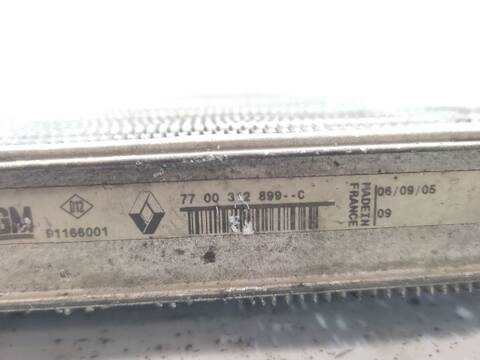 Foto 3ª: Radiador Motor Renault Trafic 1.9 DCI 100 FL0C) 101CV 74KW FURGONETA [F9Q760] (2005)