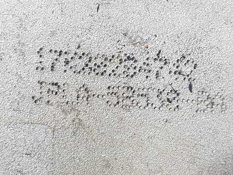 Foto 3ª: Brazo Suspension Trasero Derecho Land Rover Range SE 130CV 97KW (2014)