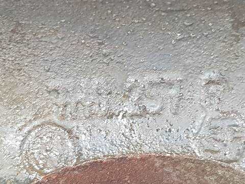 Foto 3ª: Mangueta Delantera Izquierda Volkswagen Caravelle T6 TRENDLINE (2015)