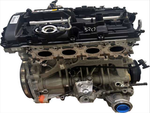 Motor Completo Bmw Serie 5 530 G30 252CV 185KW