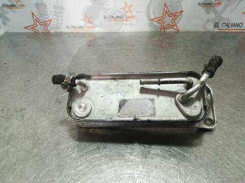 Radiador Aceite Mercedes Clase ML 270 CDI 163.113) W163)