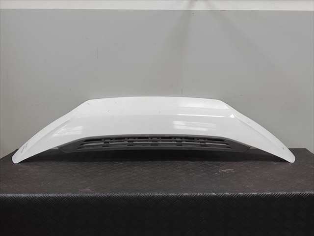 Capot Fiat Ducato 0.1