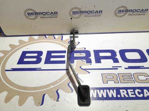 Foto 3ª: Pedal Acelerador Kia Carens 2.0 TD CAT 113CV 83KW [D4EA] (2005)