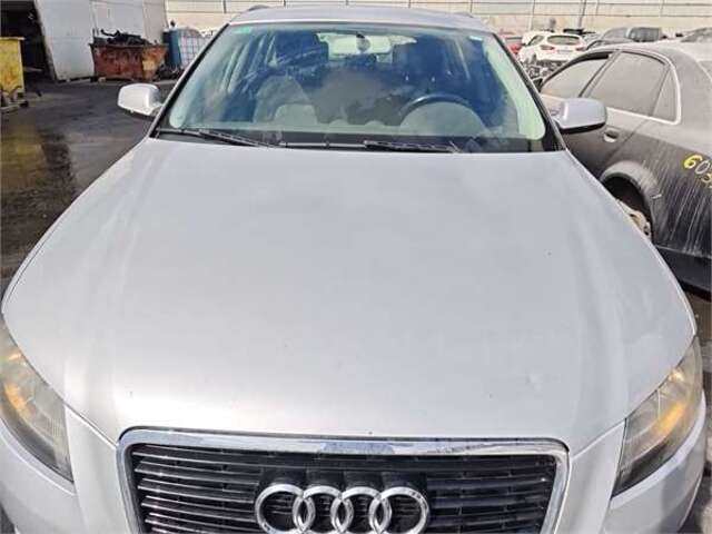 Capot Audi A3 2.0 TDI AMBITION (DPF) [2.0 LTR. - 103 KW TDI]