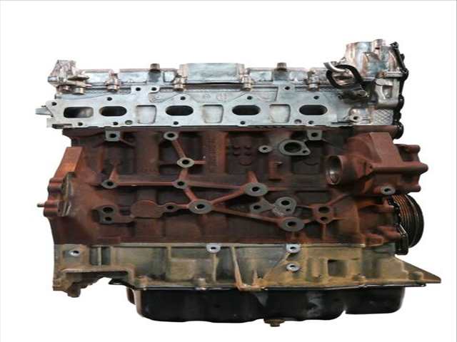 Foto 3ª: Motor Completo Ford Transit 105 CV 77KW [YLF6] (2018)