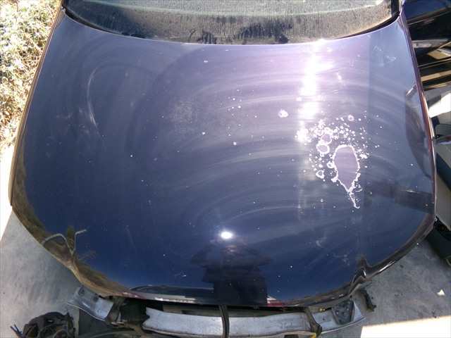 Foto 1ª: Capot Audi A3 2.0 TDI MODELO 8P,2004-2008 [BKD] (2005)