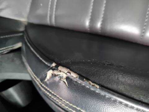 Foto 3ª: Asiento Delantero Izquierdo Volkswagen Passat R-LINE 150CV 110KW [DSRB] (2020)
