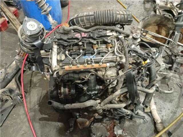 Amortiguador Delantero Derecho Ford Transit 2.2 FT 280 CORTO [2.2 LTR. - 74 KW TDCI CAT] COMBI (TT9)(2006 _)