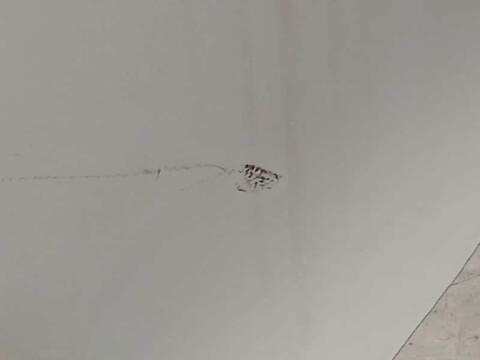 Foto 4ª: Puerta Delantera Derecha Mercedes Sprinter 419 CDI RWD 907.643 907.645 907.647) 190CV 140KW FURGONETA [654920] (2024)