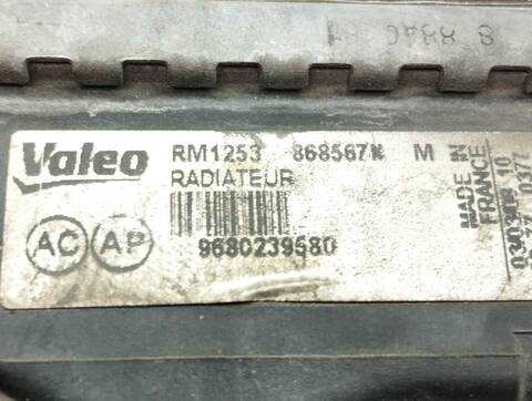 Foto 2ª: Radiador Motor Citroen C3 1.1 AUDACE 60CV 44KW [HFX] (2008)