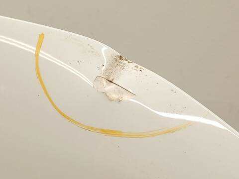 Foto 4ª: Capot Ford Kuga 1.5 ECOBOOST 150CV 110KW [UPDA] (2024)