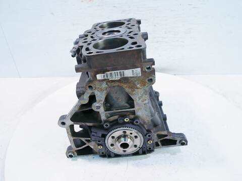 Foto 1ª: Bloque Motor Seat Ibiza 75 CV 55KW [CFWA CFW] (2011)