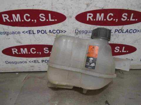 Deposito Expansion Nissan Qashqai 360 116CV 85KW