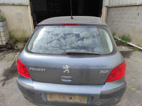 Foto 1ª: Portón Peugeot 307 NFU BERLINA (2006)