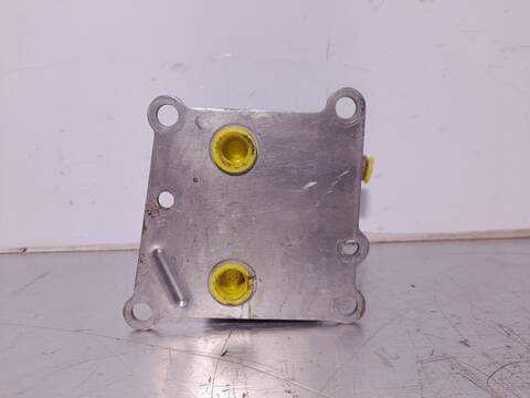 Foto 4ª: Radiador Aceite Ford Focus AMBIENTE BERLINA 90CV 66KW [C9DB] (2001)