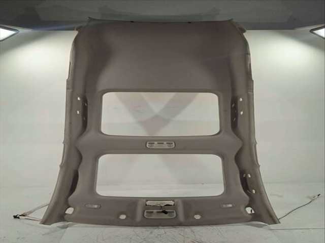 Foto 1ª: Techo Interior Renault Megane 1.4 TCE 131CV 96KW III SPORT TOURER [H4J700] (2010)