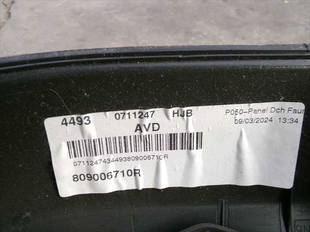 Foto 3ª: Tapizados Cartoneras Renault Captur 1.0 G 2019-2024 [H4DF4] (2024)