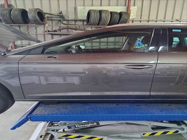 Puerta Delantera Izquierda Seat Leon 1.6 TDI 115CV 85KW