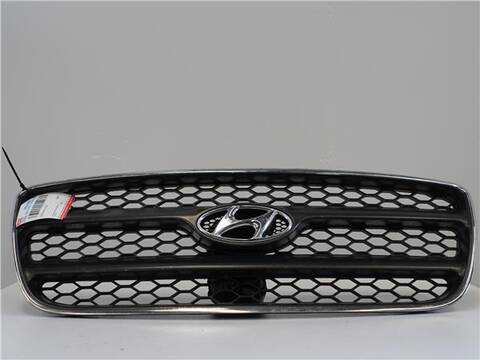 Foto 1ª: Rejilla Delantera Hyundai Santa Fe 2.2 CRDI 155CV 114KW [D4EB] (2006)