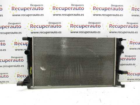 Radiador Motor Renault Megane F9Q872 BERLINA III BERLINA 5P
