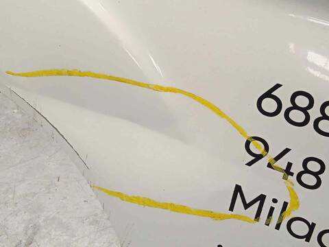 Foto 4ª: Puerta Delantera Izquierda Fiat Ducato 2.3 JTD CAT 120CV 88KW CAJA CERRADA [F1AE0481D] (2010)