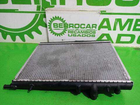 Foto 3ª: Radiador Motor Peugeot 307 XN 109CV [NFUTU5JP4] (2001)