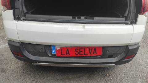 Portón Peugeot 3008 HNY